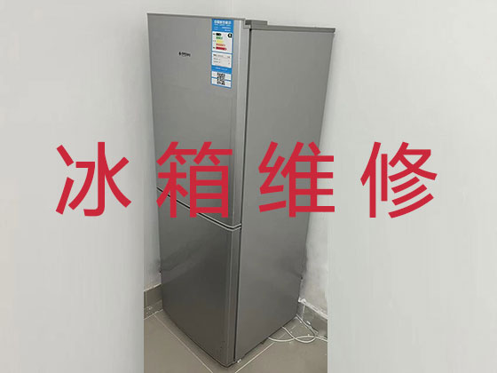 武汉电冰箱维修上门服务